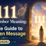 1111 Angel Number Meaning