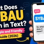 What Does SYBAU Mean in Text